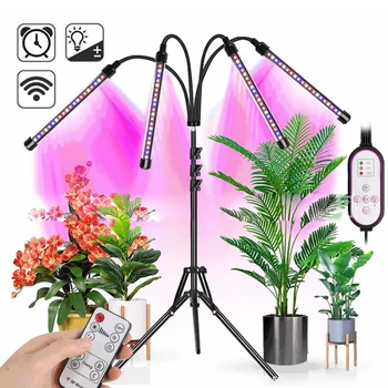 LED Grow Light 5V USB Фитолампа Полного Спектра Fitolampy С Дистанционным Управлением Для Выращивания Рассады Тепличных Растений Цветок