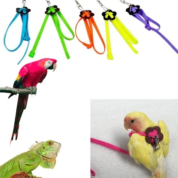 Шлейка для попугая, поводок для птиц, тренировочная веревка для защиты от полетов, нейлоновый регулируемый тяговый ремень, принадлежности для тренировок, аксессуары для птиц